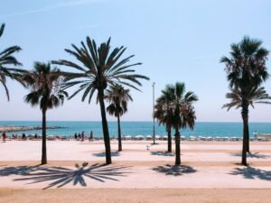 Qué hacer en verano en Barcelona by lucrezia-carnelos