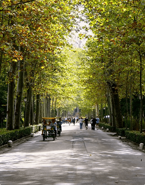 parque-maria-luisa Parque María Luisa